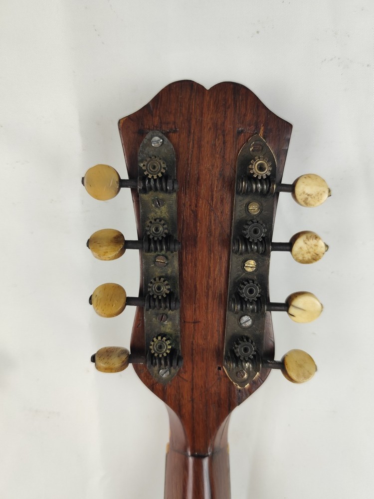 Mandolin Giuseppe Scanzoni 1920 Naples 曼陀林 만돌린マンドリン