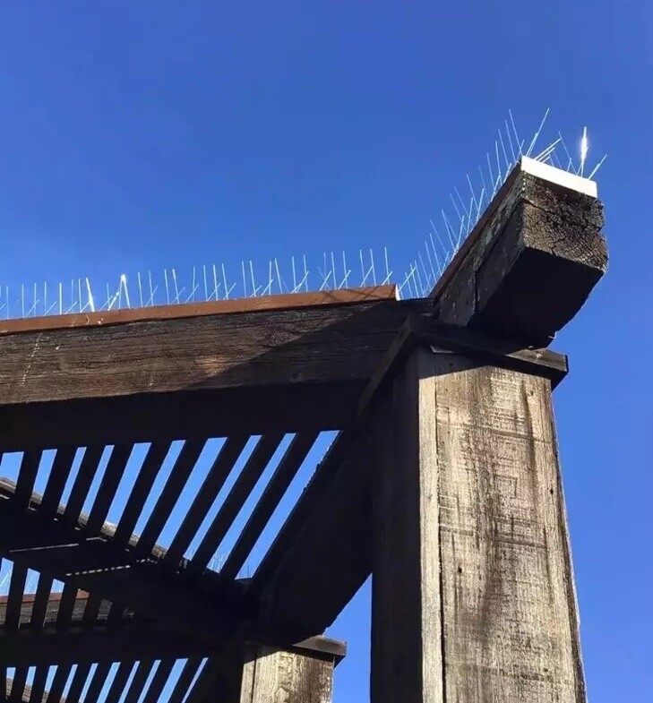 Xpcare Bird spikes 33.6 feet