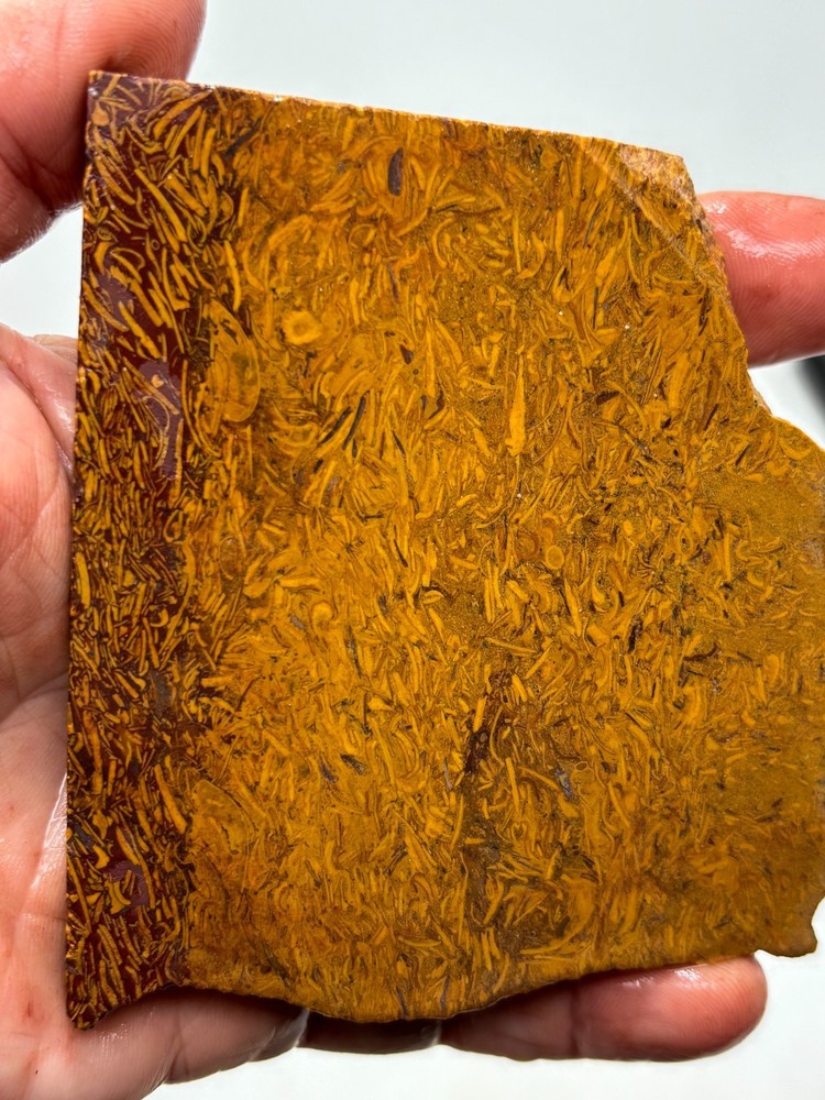 Script Stone Jasper Slab Cabbing Lapidary Collecting Combo Ship Avail