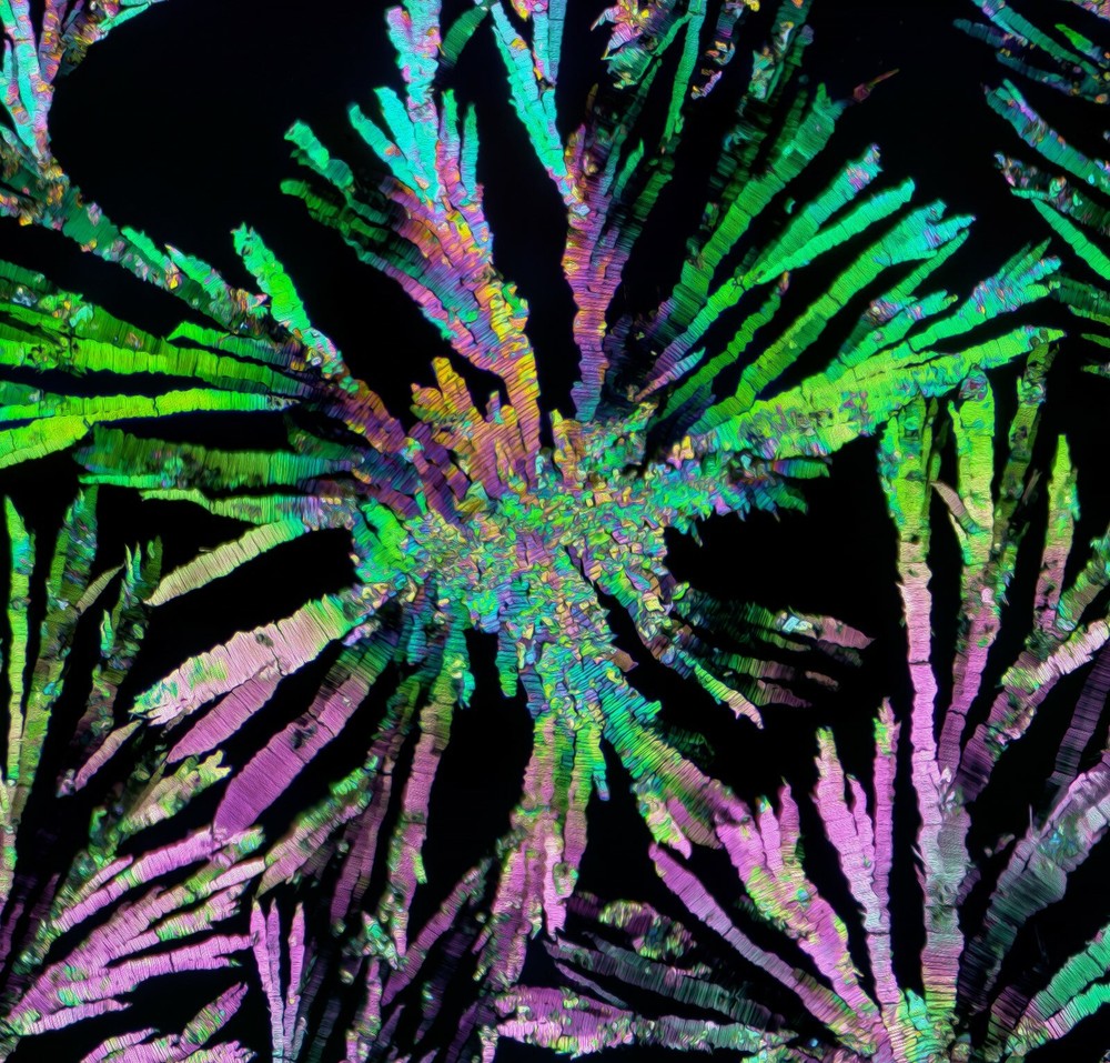 Microscope slide for polarization, THEOBROMINE