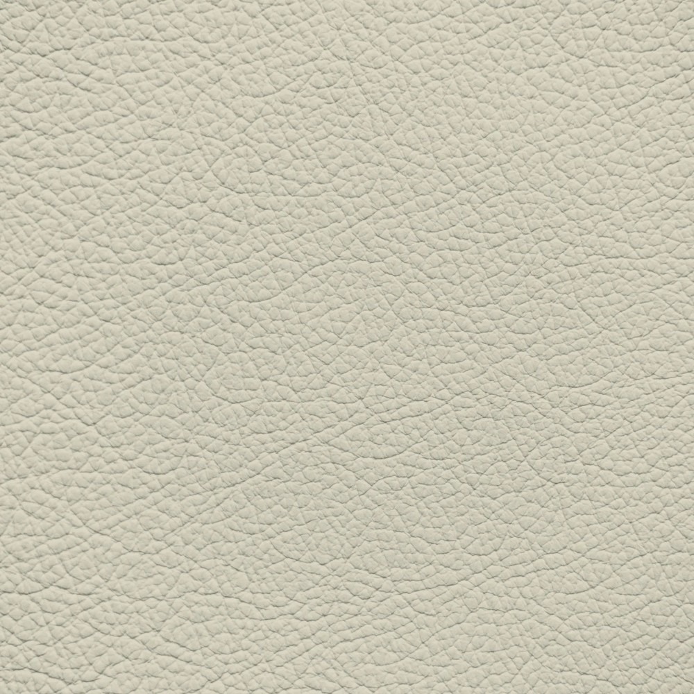 BMW Canberra Beige Leather Dye