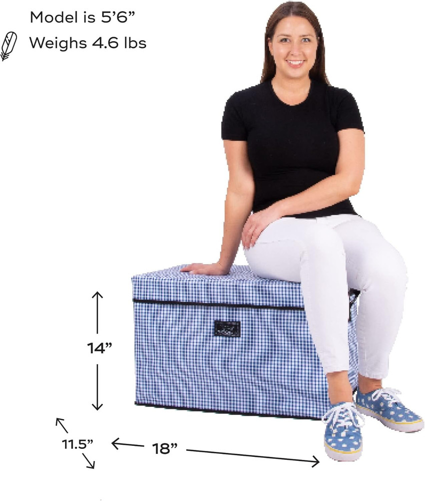 Rump Roost MED - Medium Lidded Storage Bin with Handles, Collapsible, Stackable,