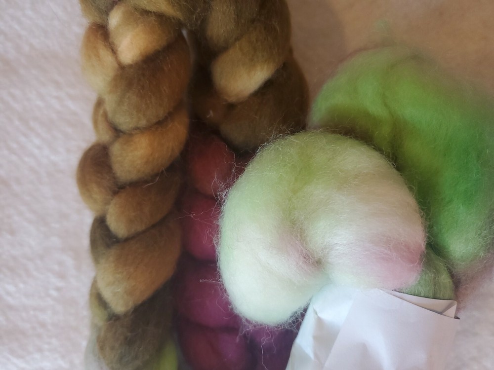 Spunky Eclectic Roving 4 oz Handpainted Combed Top Superwash Corridale (Vine)