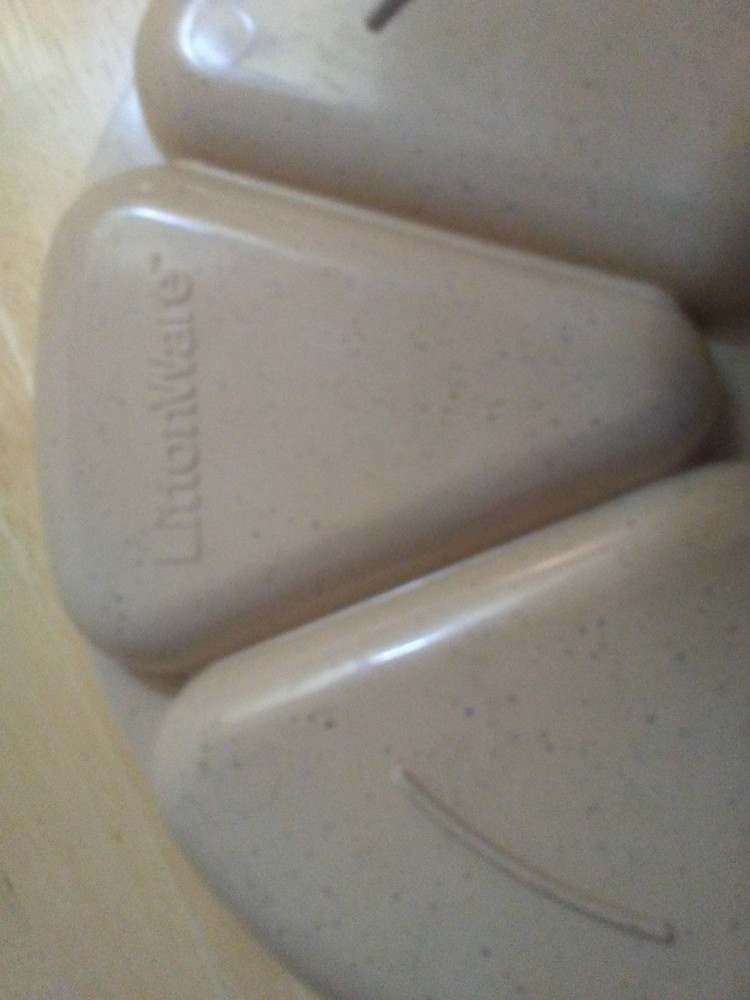 Littonware Microwave Divided Plates with Lids
