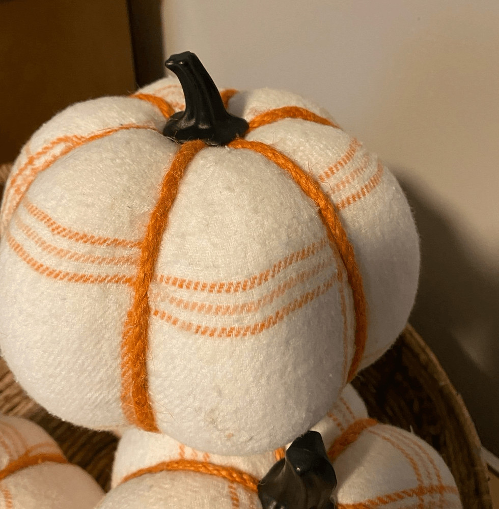Hyde & Eek Pumpkin Decor