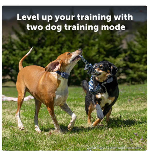 PetSafe Core Add-A-Dog Training Collar Waterproof 1000ft LED Light