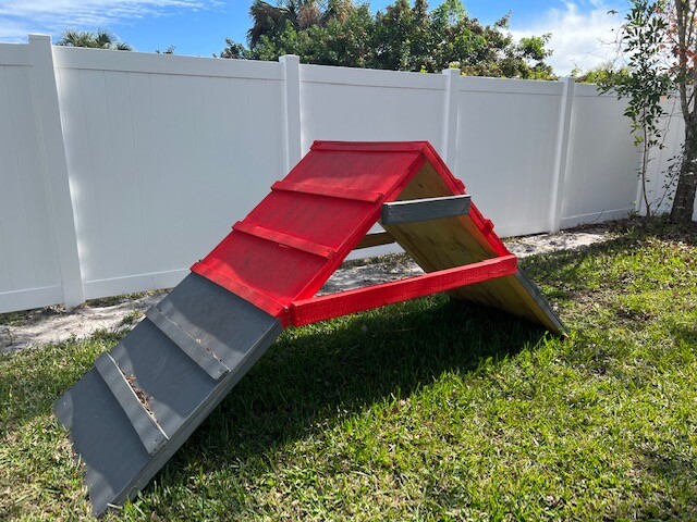 Dog Agility Ramp