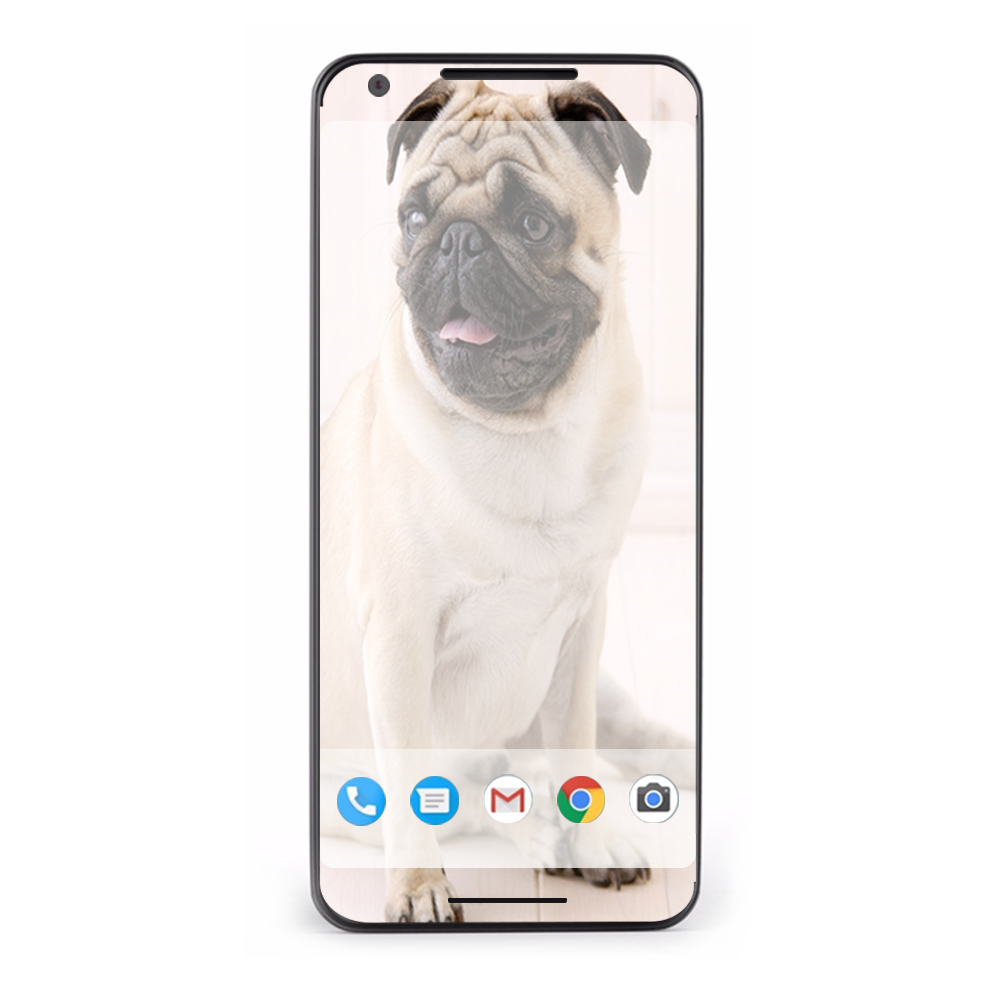 Google Pixel 2 Skins Decal Wrap Pug Mug, cute pug