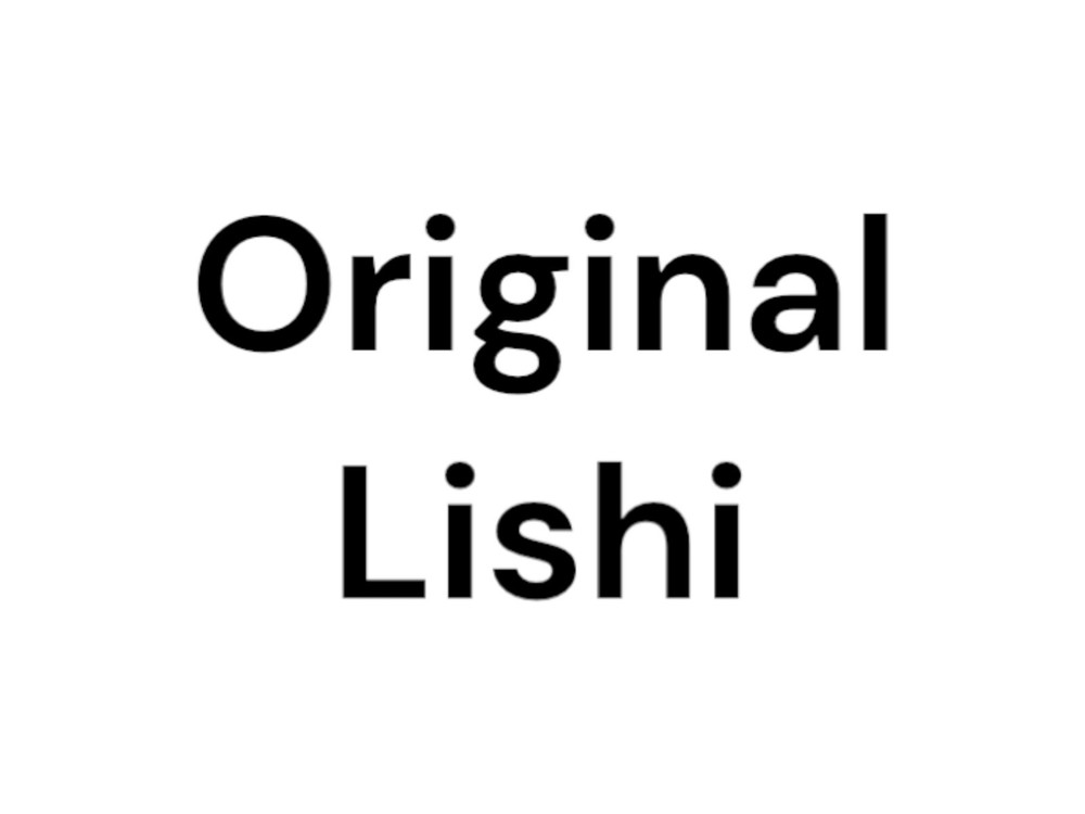 ORIGINAL LISHI 2 IN 1 HU66 READER & DECODER FOR AUDI VW GENUINE NEW!