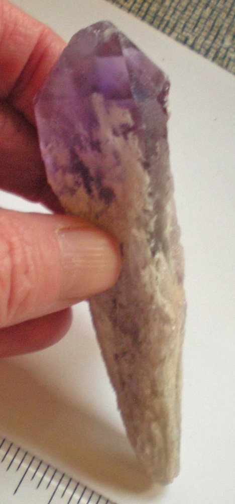 Amethyst Torch, Bahia Brazil xt377