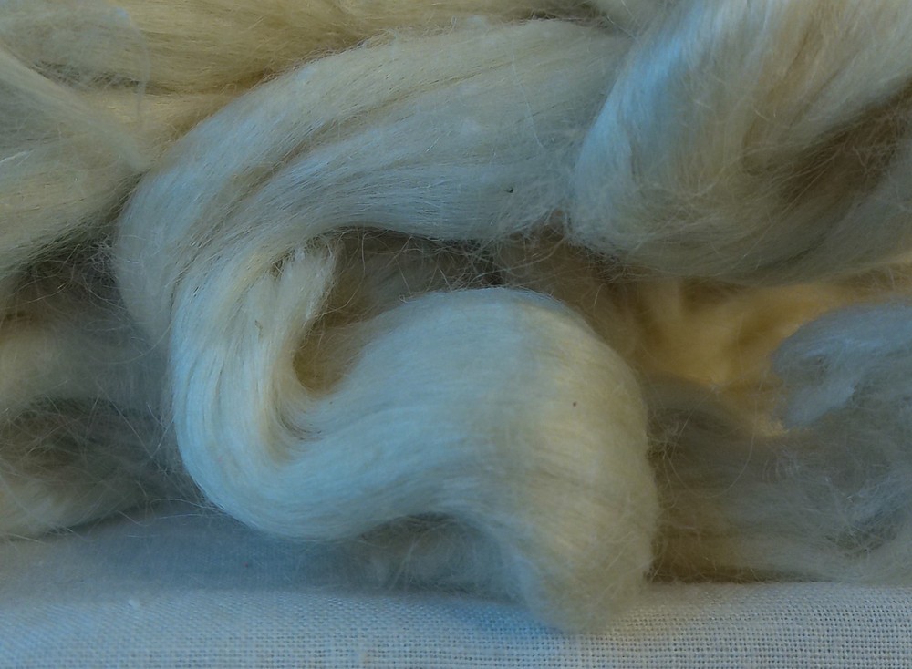 Ramie Roving undyed 2.5 oz