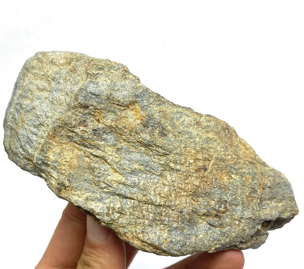 Glaucophane-Phyllite Gold Sulfide Ore