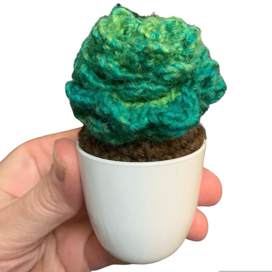 Cute Crochet Succulent Handmade Plant
