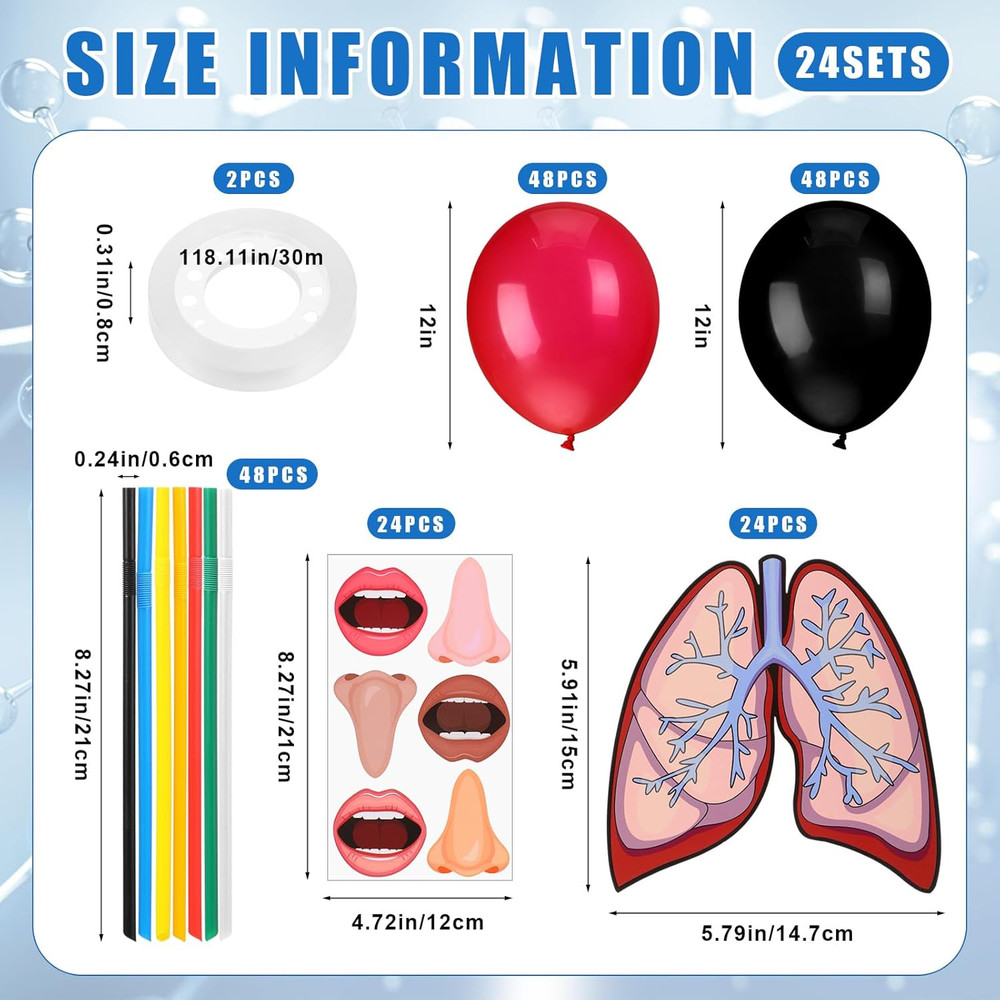 24 Sets Lung Model Respiratory System Model Toys Science Classroom Study Display