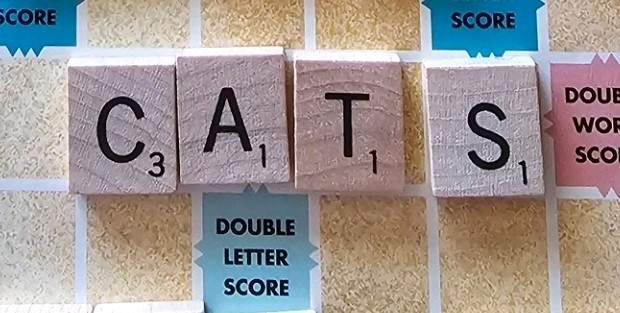 Exit Sign Right Arrow HD Plastic Directional Exit Indicator Arrow Lot 2 NEW