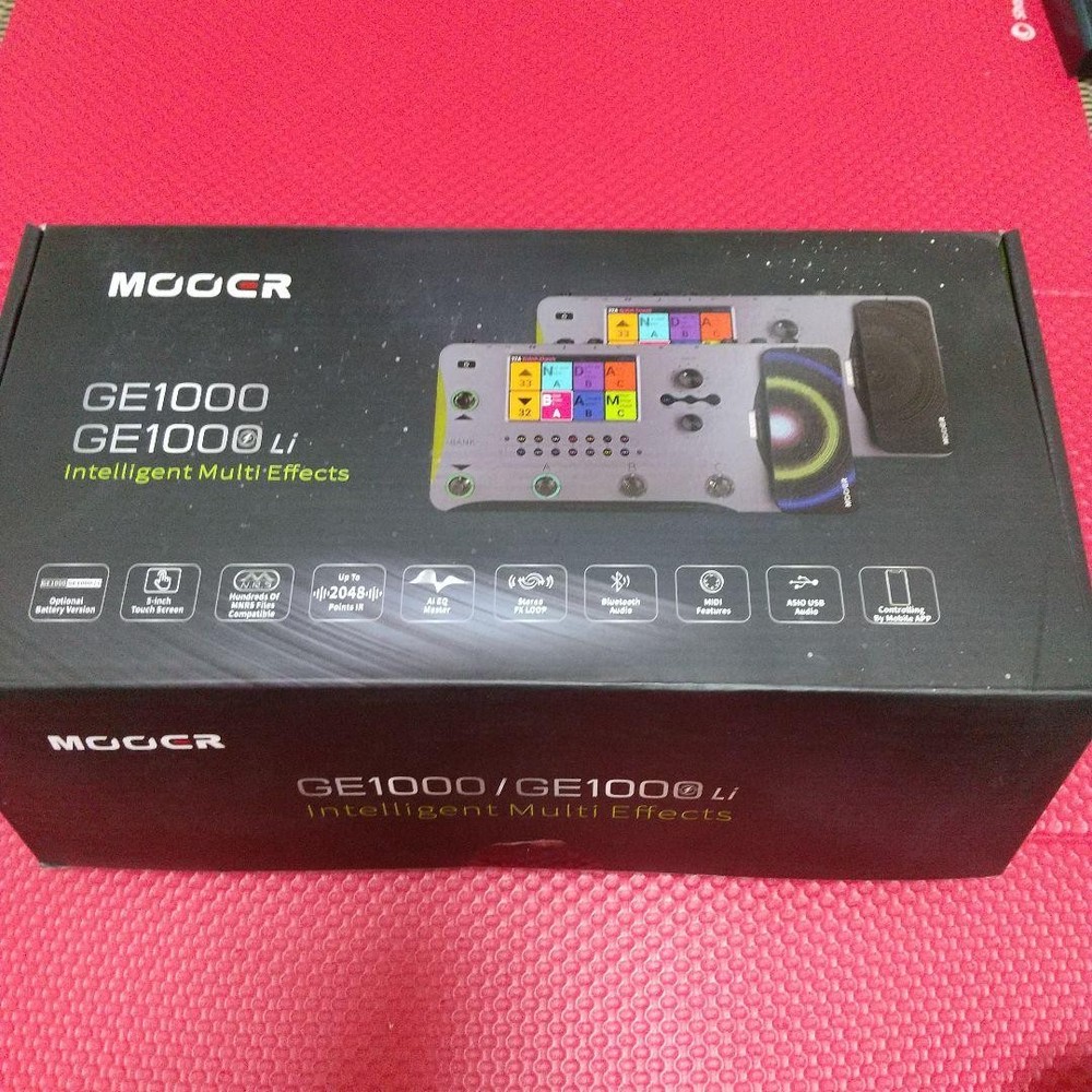 MOOER GE1000