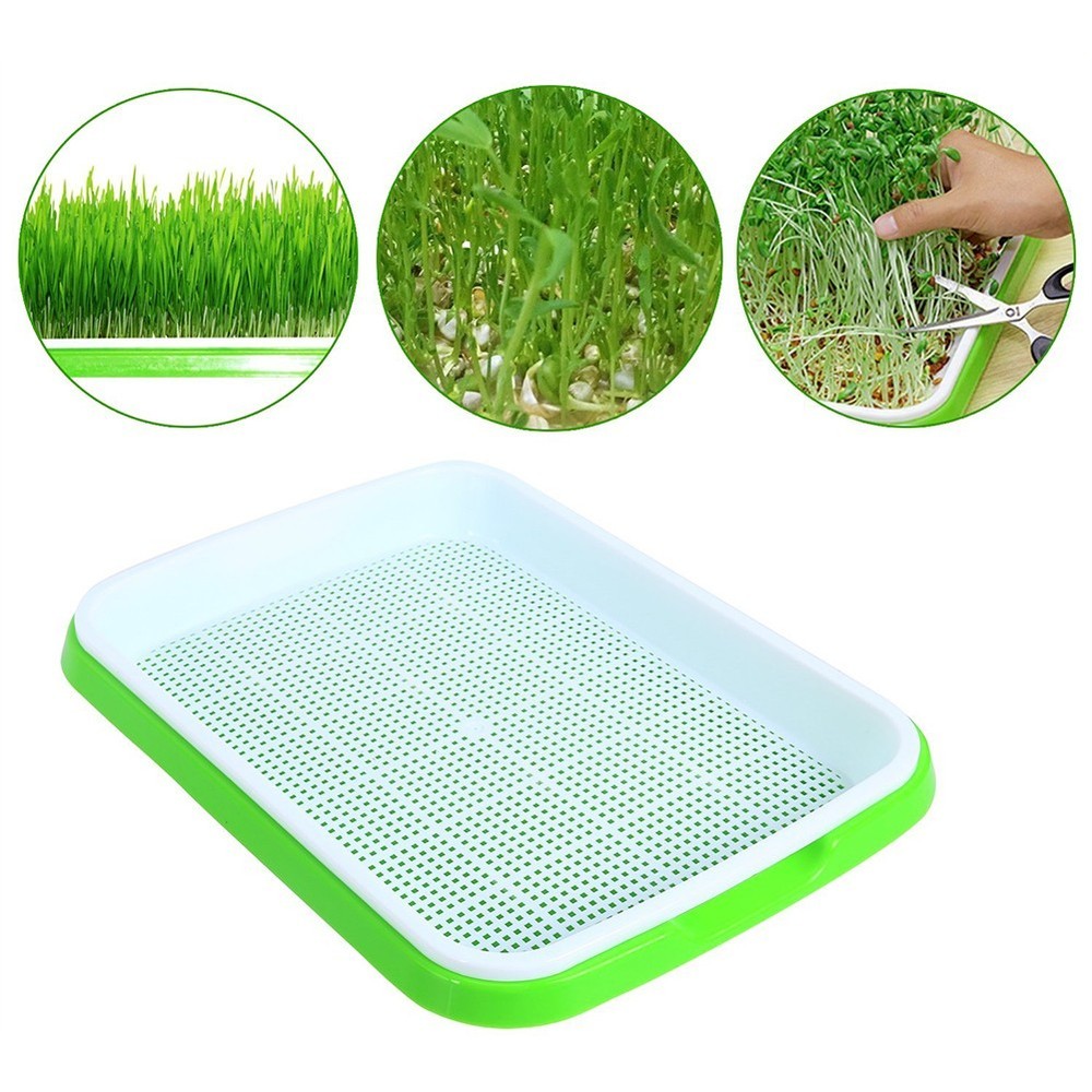 Nursery Pots Double Layer Germination Greenhouse Hydroponics Microgreens