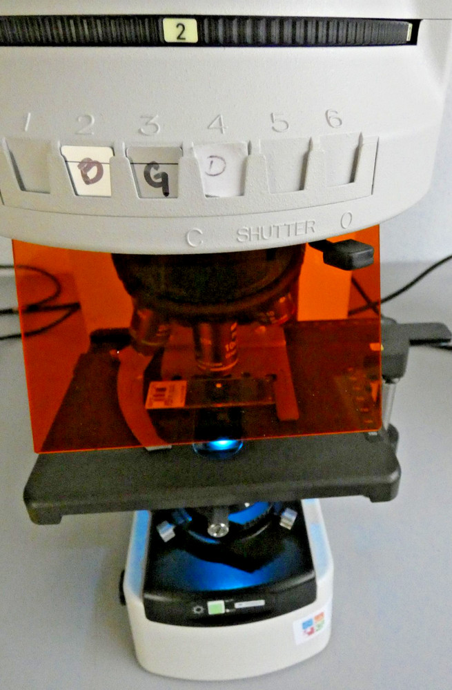 Nikon Eclipse 80i Microscope. Epi-Illumination Attachment + Intensilight C-HGFI