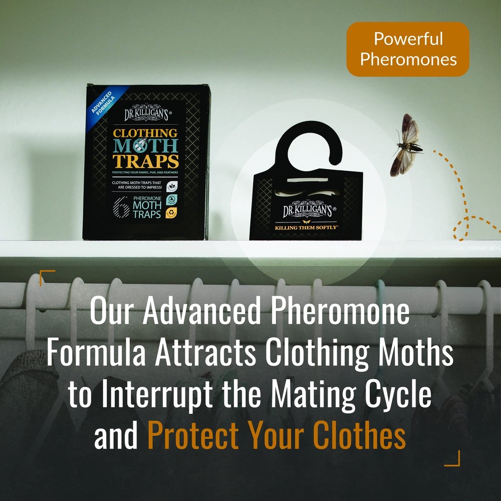 Dr. Killigans Premium Clothing Moth Traps with Pheromones Prime | 6-Pack