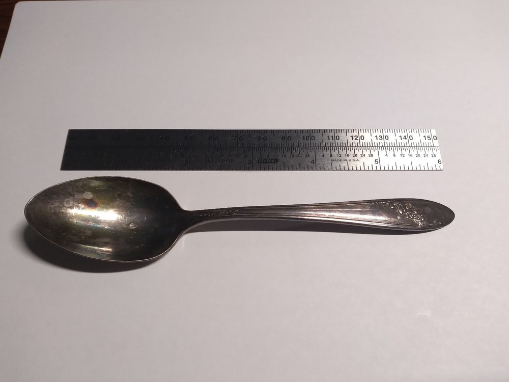 Onedia Silverplate Spoon - Floral Motif