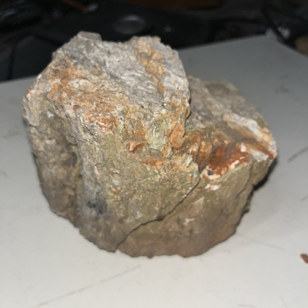 Petrified Wood