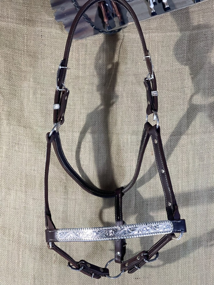 Hudson Show Halter-Yearling
