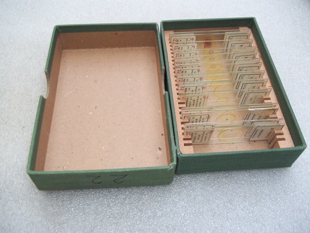 Vintage Glass Microscope Slides -