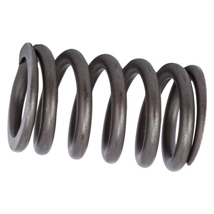 Engine Valve Spring ACDelco 12565199
