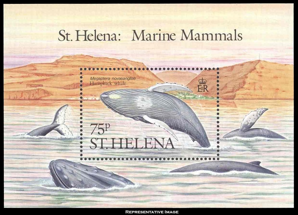 Saint Helena Scott 487 Mint never hinged.