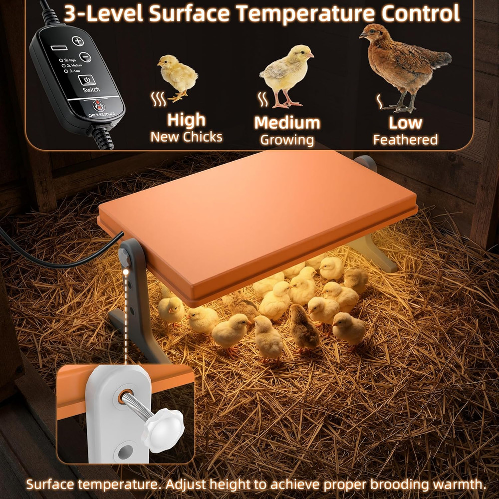 Chick Brooder Heater Plate – 12" X 8" Adjustable Height & Temperature Poultry Wa