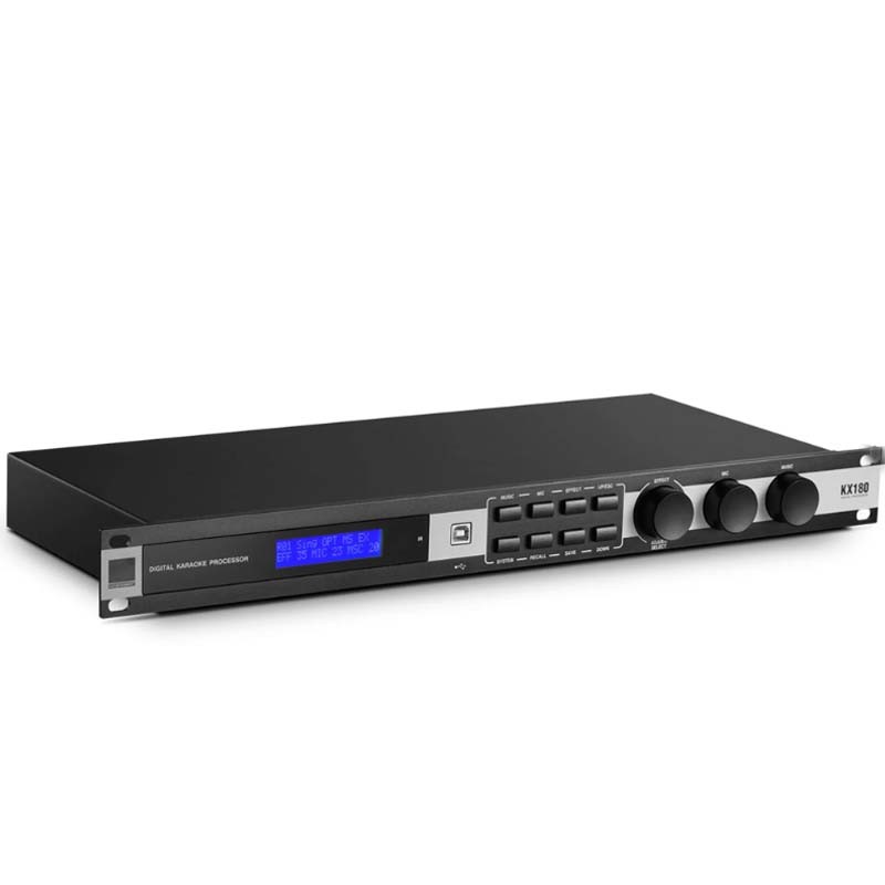 Premium Digital Karaoke Sound Processor with Professional Performance​