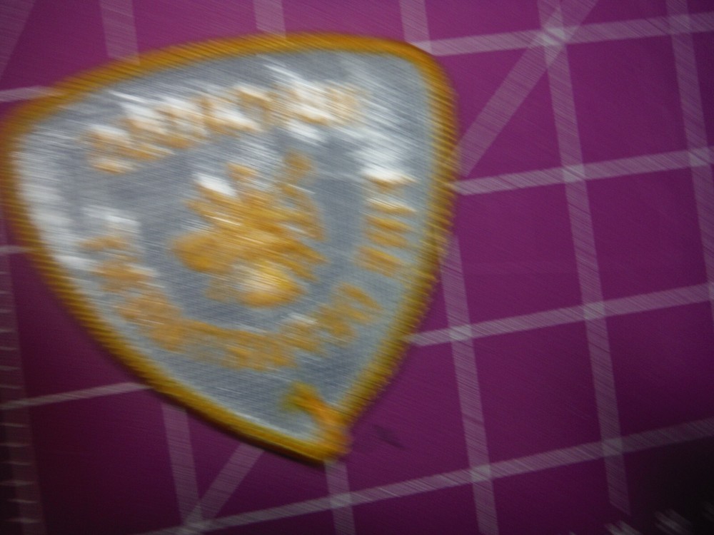 Vintage Waycross Georgia Fire dept. patch