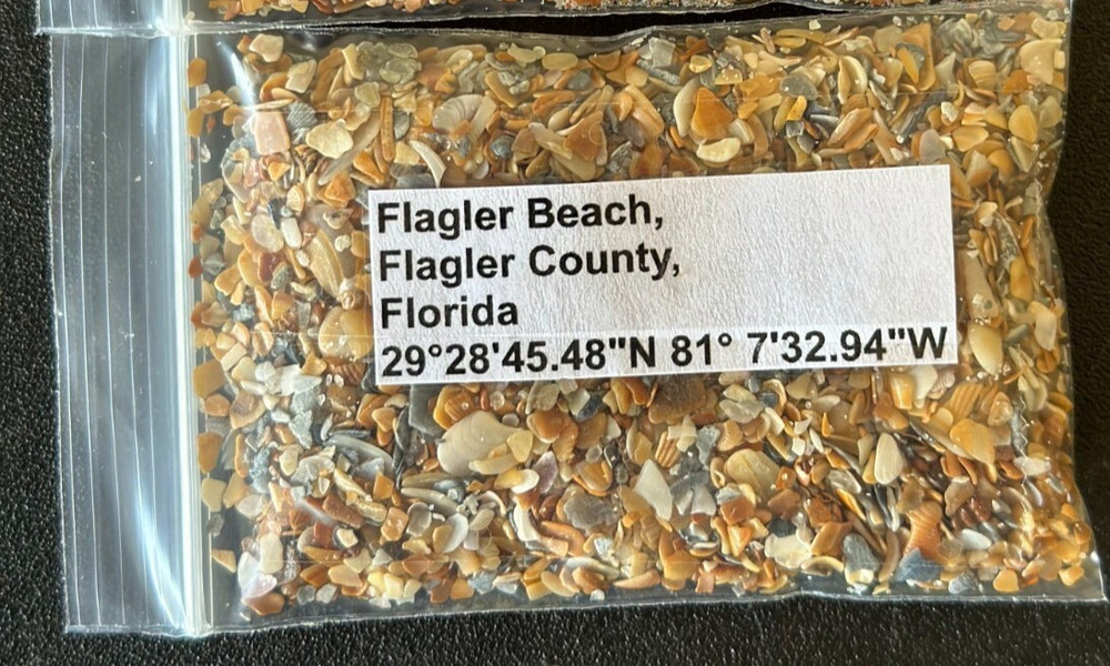 Florida Flagler Beach Sand Samples