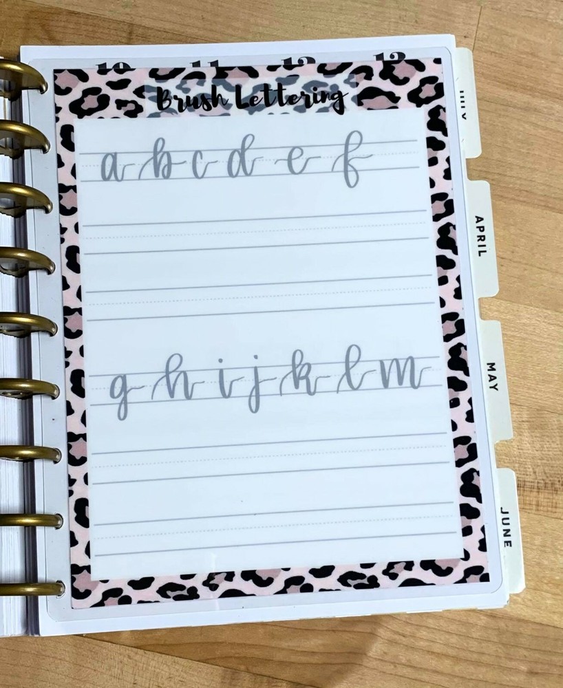 Lettering Handwriting (Wild) Practice Dashboard for use with Happy Planner