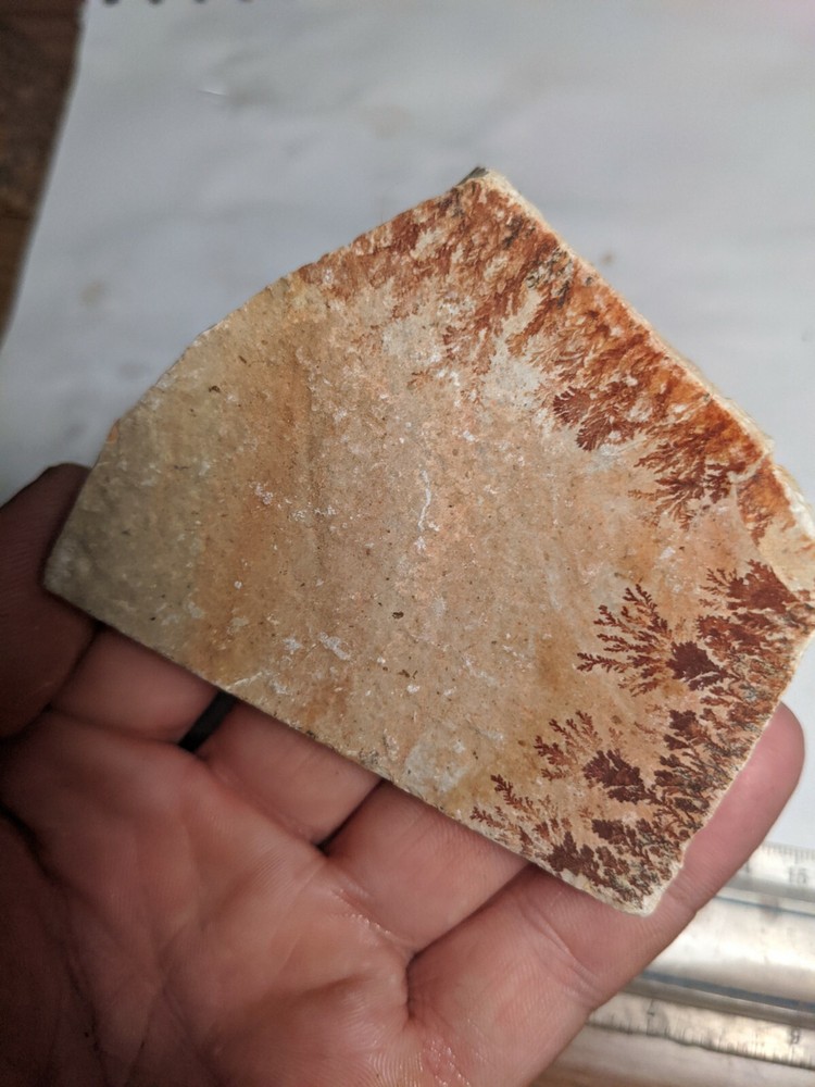 Print Stone Slab Dendritic Limestone Dendrites