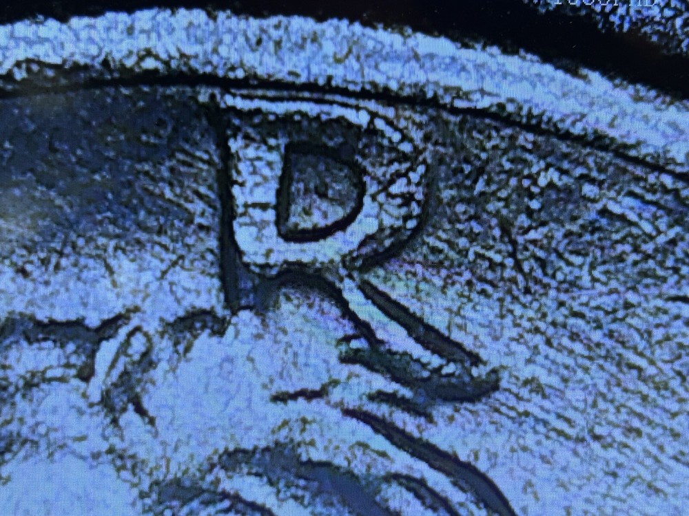 1972-D 50C Kennedy Half Dollar Multiple Errors View