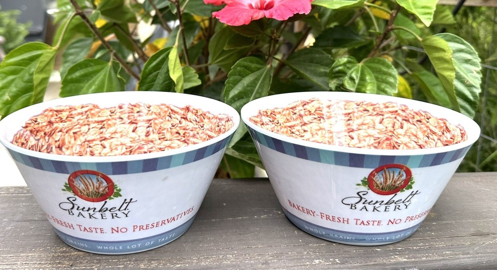 Sunbelt Bakery Plastic Bowl Lot Of 2 EUC