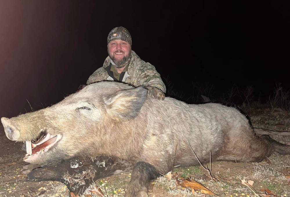 Semi Guided Wild Hog Hunts In Oklahoma
