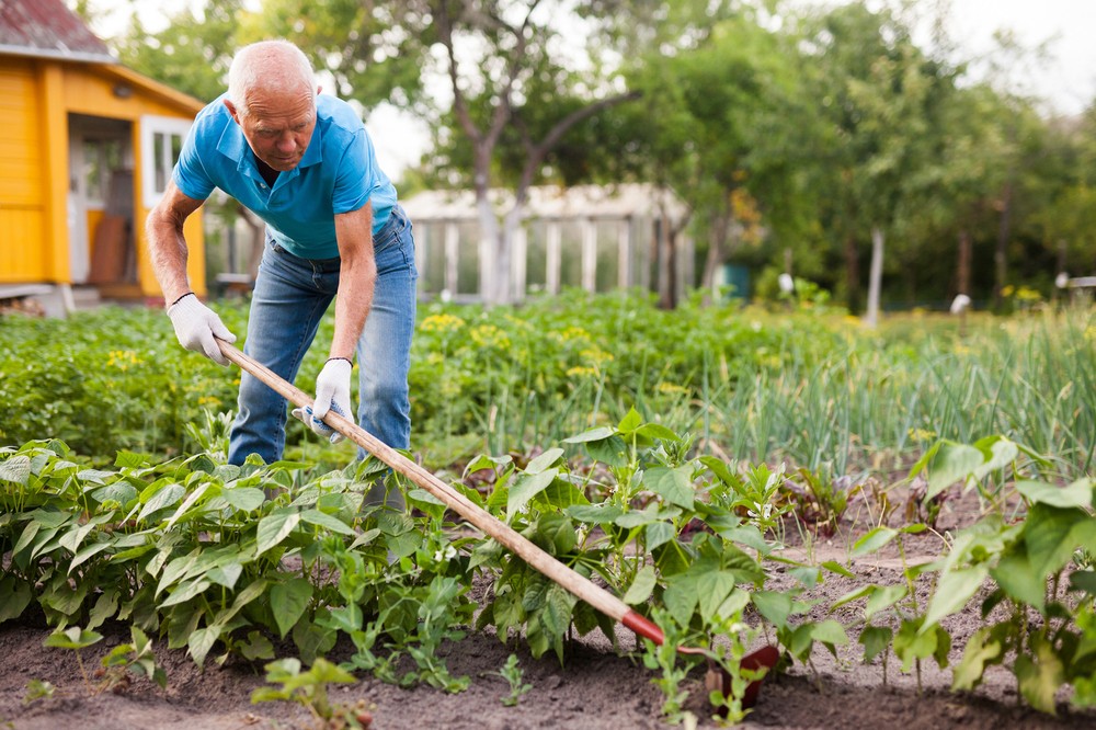 Youngevity ns Ultimate Colon fx