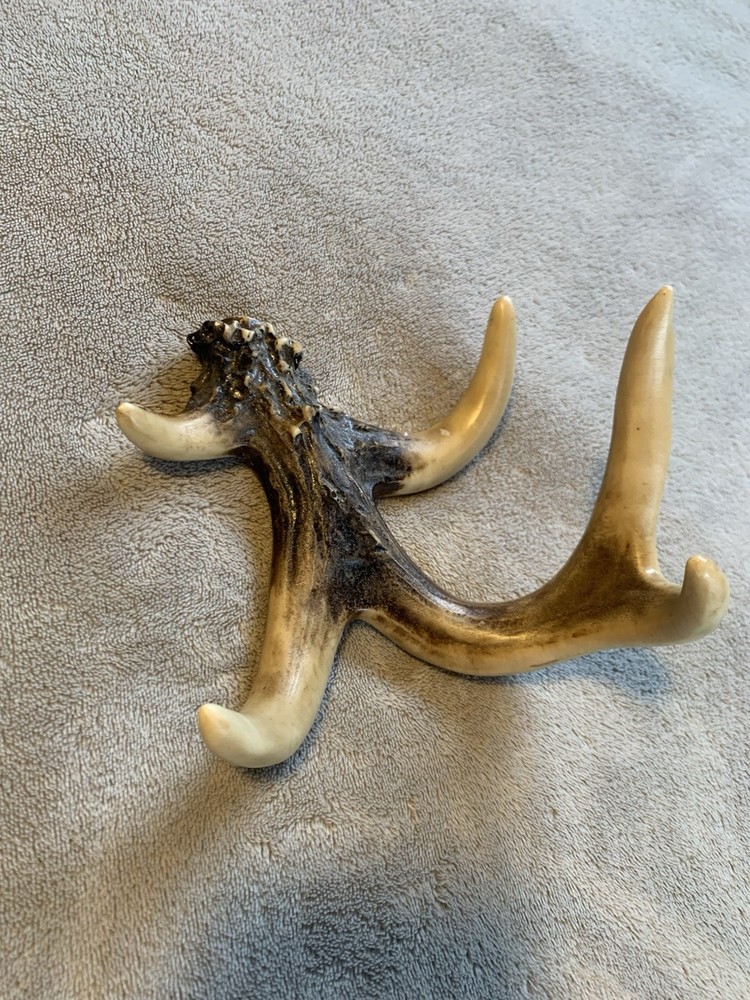 Deer Antler Wall Hook Rack Rustic Lodge Coat Hat Towel Hanger