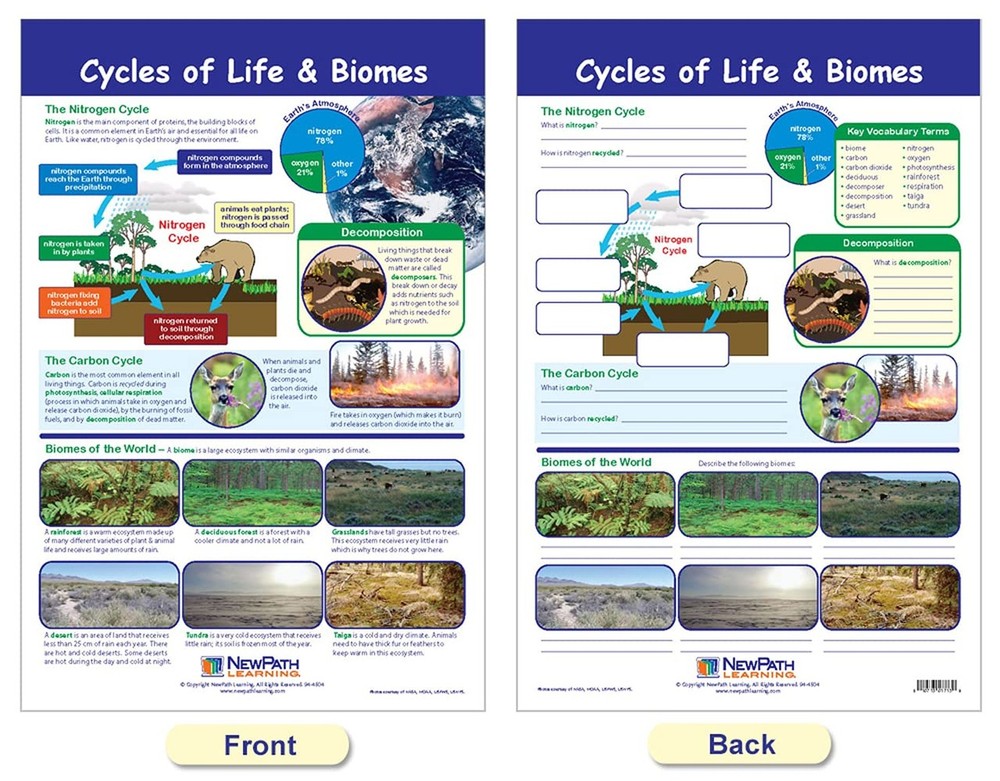 NewPath Learning Ecology Bulletin Board Charts, Set/3 - Laminated, Double-Sid...