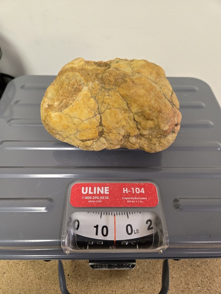 Geode From Indiana 4.5lbs