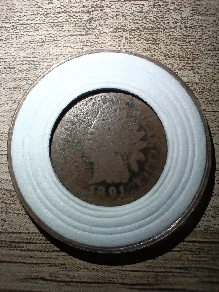 1891 Indian  Head Penny