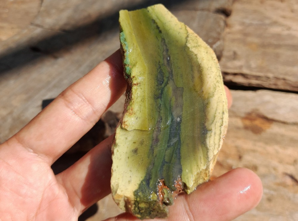 Green Moss Petrified Wood Agatized, Natural Slab Unpolished, Java Gem Collection