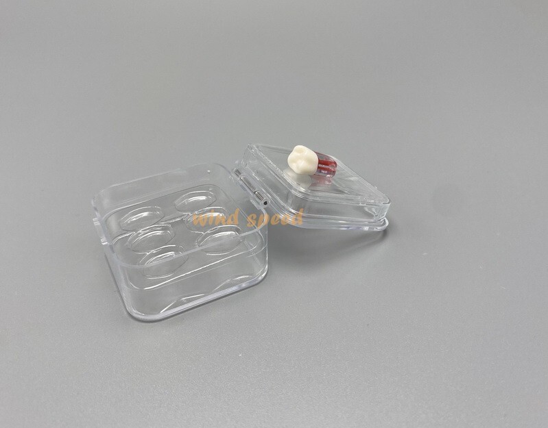 10× Display Chip Veneers Jewelry Box Membrane Retainer Denture False Teeth Case