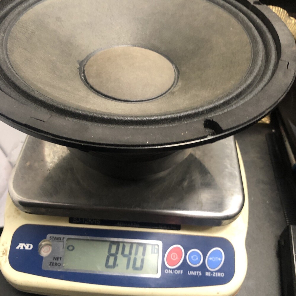 Replacement Generic/unbranded 10" Woofer Speakers (pair)