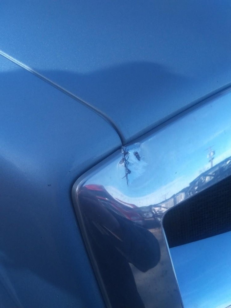 For 2020 FREIGHTLINER CASCADIA 116 GRILLE , MS