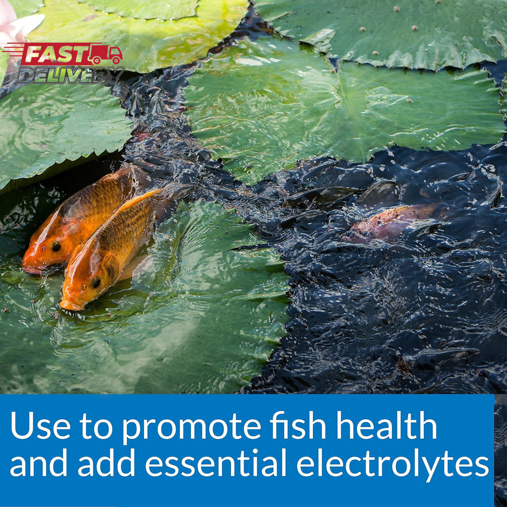 API POND SALT Pond Water Salt 4.4-Pound Container