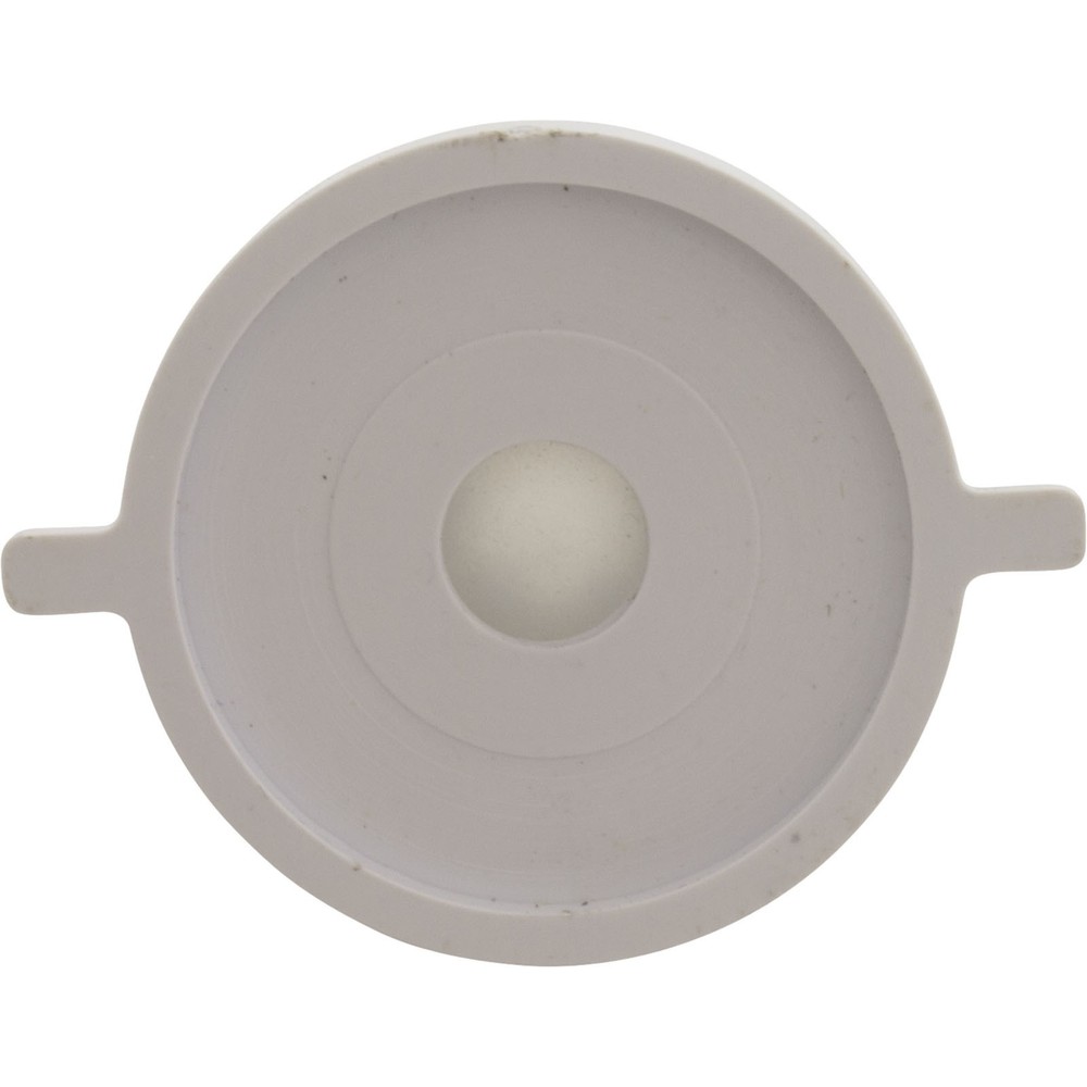 Check Valve Assembly, CMP PowerClean Mini Chlorinator : 25280-000-920