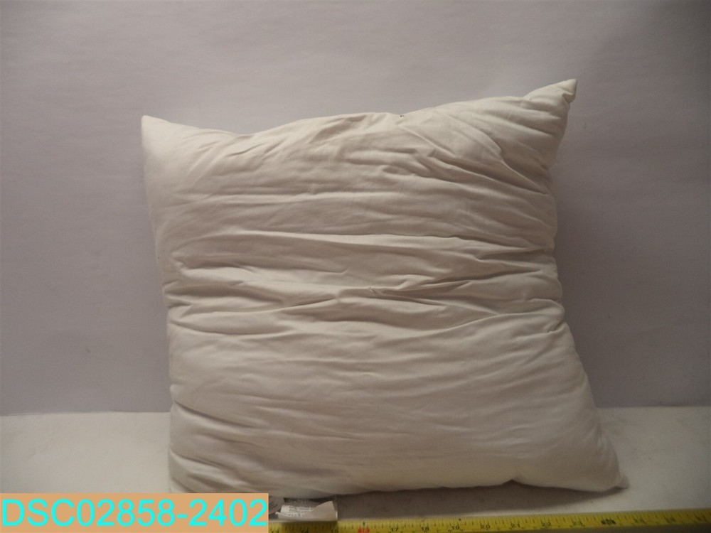 POTTERY BARN/TEEN Decorative Pillow Inserts 18" X 18"